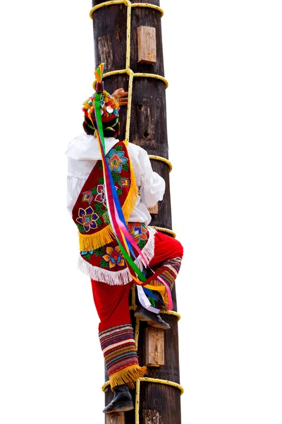 전통적인 마 야 플라이어 남자 나무 등반 — 스톡 사진