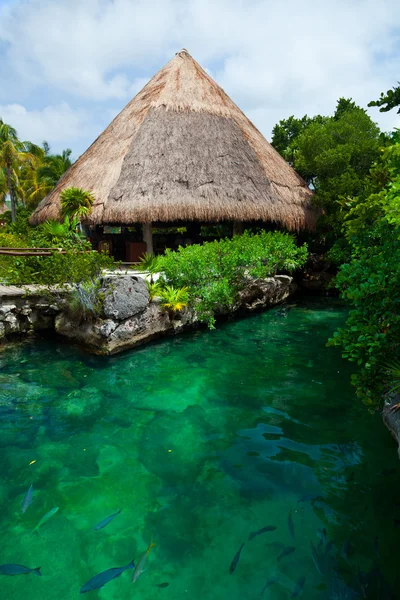 Laguna celeste nella Riviera Maya — Foto Stock