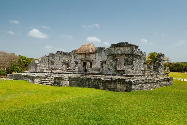 Templo del Dios Descendente en Tulum Ruinas Mayas —  Fotos de Stock