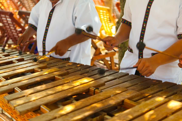 Mexicaanse muzikanten spelen een houten marimba — Stockfoto