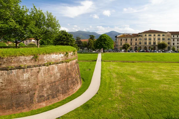 Muro histórico da cidade em Lucca, Toscana, Itália — Fotografia de Stock