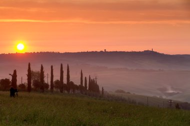 Val d'Orcia at sunset with photographer, Tuscany, Italy clipart