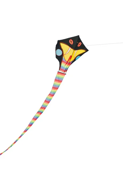 Geïsoleerde kite — Stockfoto