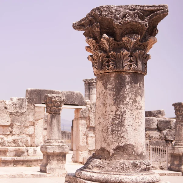 stock image Synagogue