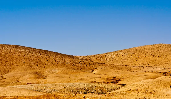 Woestijn — Stockfoto