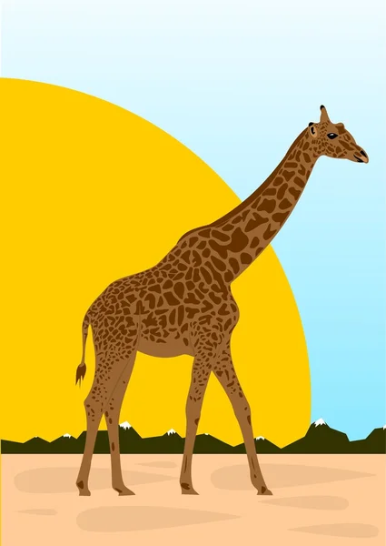 Большой жираф — стоковый вектор