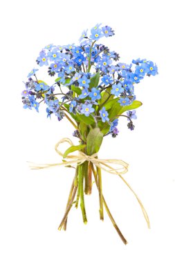 Bouquet of forget-me-nots clipart