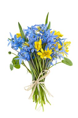 Bouquet of fresh spring flowers clipart