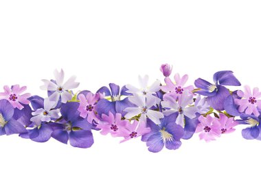 Purple spring flower border clipart