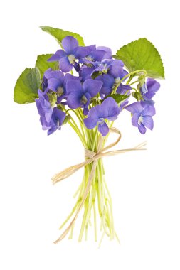 Bouquet of violets clipart