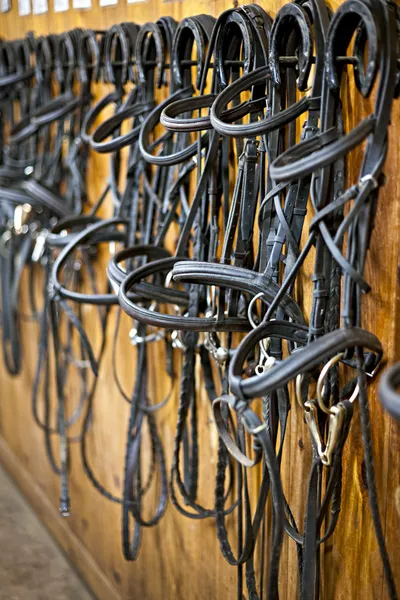 Frenos de caballo colgando en establo —  Fotos de Stock