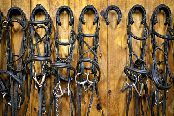 Freios de cavalo pendurados no estábulo — Fotografia de Stock