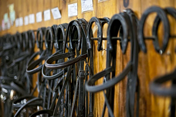 Freios de cavalo pendurados no estábulo — Fotografia de Stock