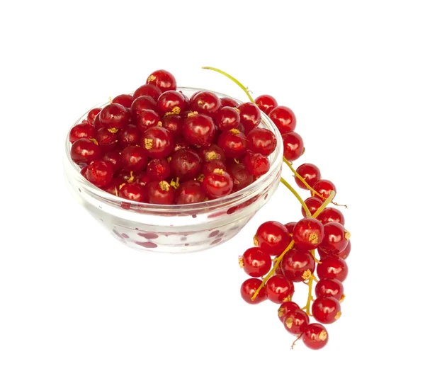 Glass bowl with fresh red currant, isolated on white — Stock Photo, Image