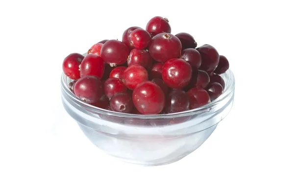 Bowl of fresh wild cranberries, isolated on white Stock Image