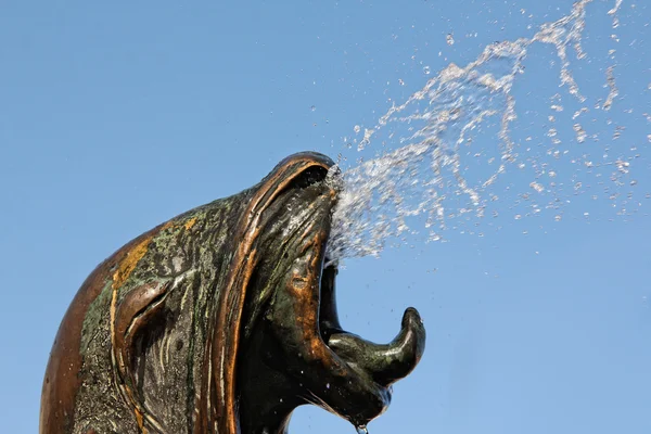 stock image Closeup of a seal head fountain, water coming