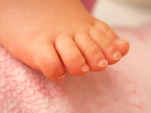 Closeup των ποδιών μωρό, απομονωμένη προς ροζ — Φωτογραφία Αρχείου