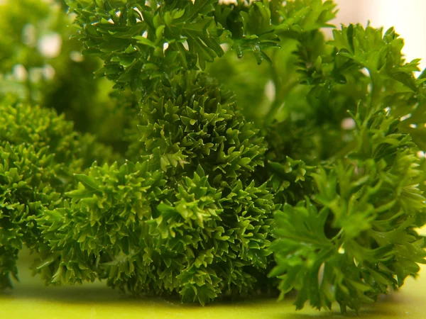Closeup of fresh green parsley, on green chop board — Stock Photo, Image