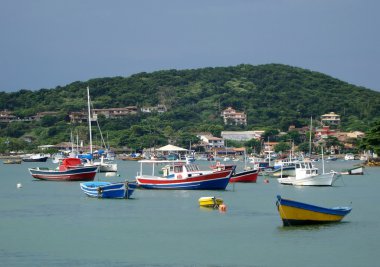 Körfezde demirlemiş teknelerin