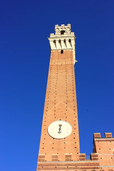 Torre del Mangia torony, a Palazzo publico-Siena, Olaszország — Stock Fotó