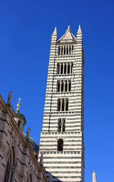 Torre da Catedral em Siena, Itália. Duomo di Siena — Fotografia de Stock