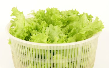 Leaf lettuce clipart