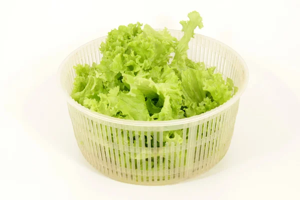 Stock image Leaf lettuce