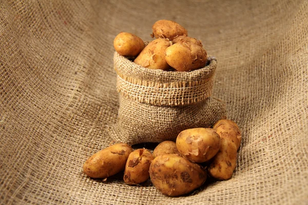 Yeni patates — Stok fotoğraf