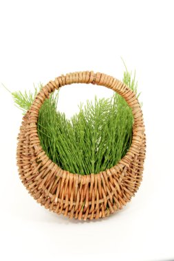 Wild herb basket clipart