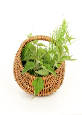 Wild herbs clipart