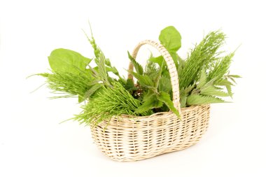 Wild herbs clipart