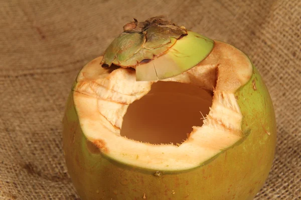 椰子 — 图库照片