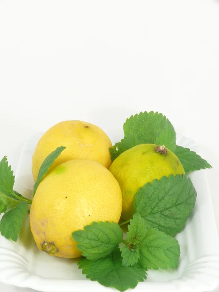 Owoce cytrusowe, cytryna — Zdjęcie stockowe