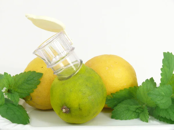 Citron, citrusové plody — Stock fotografie