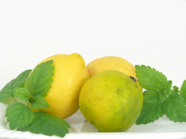 柠檬、 柑橘水果 — 图库照片