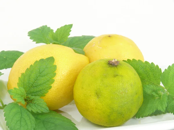 Owoce cytrusowe, cytryna — Zdjęcie stockowe