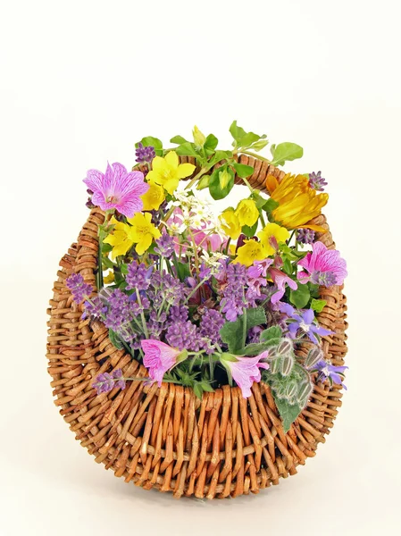 Blomsterkurv - Stock-foto