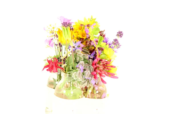 Cesta de flores — Fotografia de Stock
