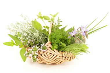 Kitchen herbs clipart