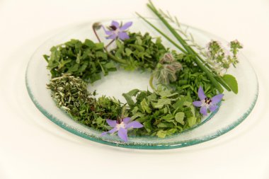 Kitchen herbs clipart