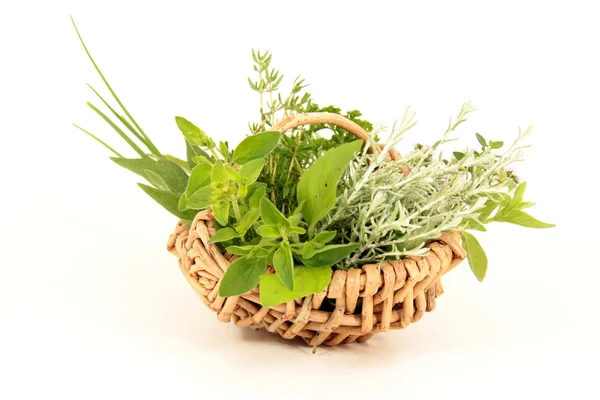 Кухонные травы — стоковое фото