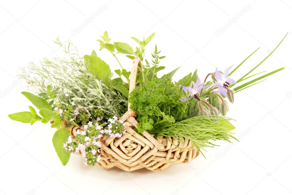 Kitchen Herbs Stock Photo Worldnews 11547388   Depositphotos 11547388 Stock Photo Kitchen Herbs 