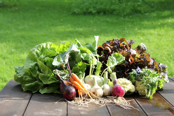 Свіжі овочі таблиці — стокове фото
