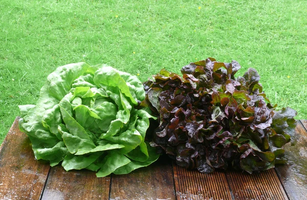 Fresh vegetables table — Stock Photo, Image