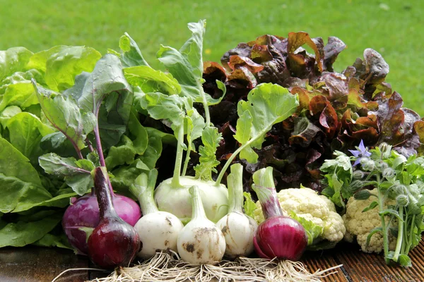 Table de légumes frais — Photo