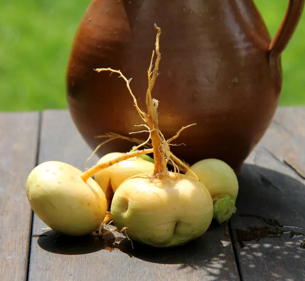 Turnips — Stock fotografie