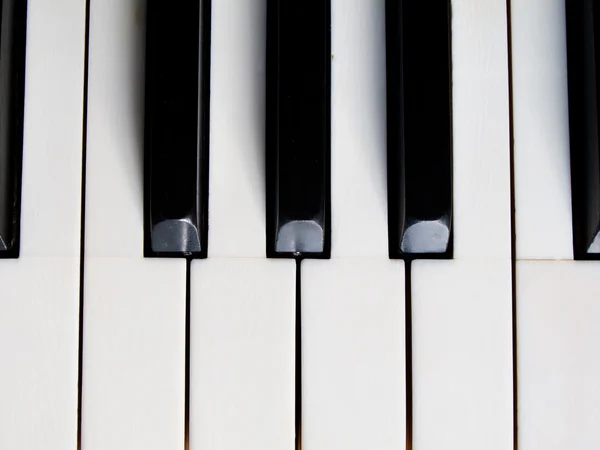 Stock image Piano key