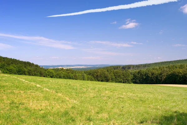 Пейзаж з полем і за ним літак в небі — стокове фото