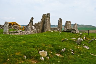 Cairnholy Stones clipart