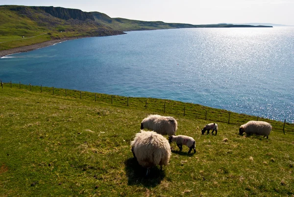 Isle of Skye — Stock Fotó